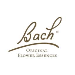 Bach Rescue Remedy