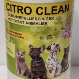 Citro Clean