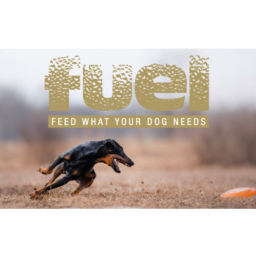Fuel