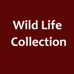Wild Life Collection