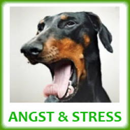 Angst & Stress