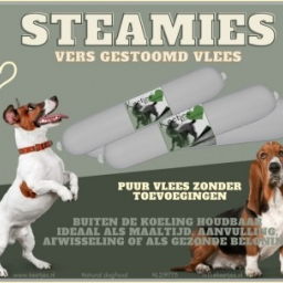 Happy Keetjes - Steamies
