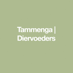 Tammenga