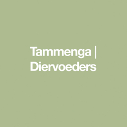 Tammenga KVV