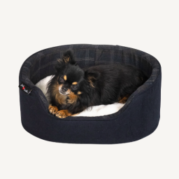 Jack&Vanilla  - Douglas - Sleeper - XS