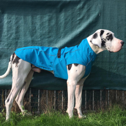 M-Pets - Blauwe Regenjas - XL