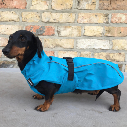 M-Pets - Blauwe Regenjas - XS