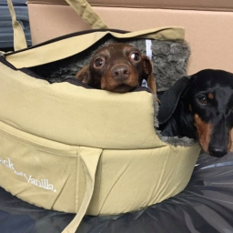 OUTLETPROMO Jack&Vanilla - Husk - Draagtas - S