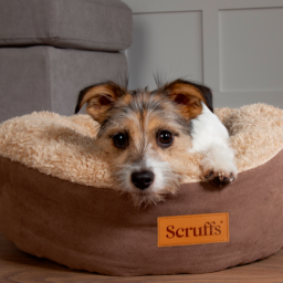 Scruffs - Ronde Mand 