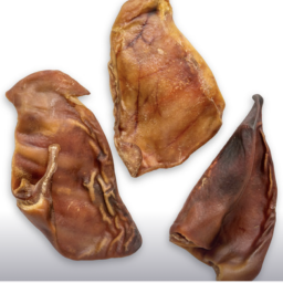 Varkensoren - 9 stuks