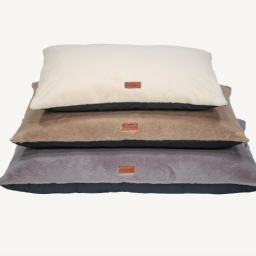 Animal Boulevard - Bunny Plush - XL