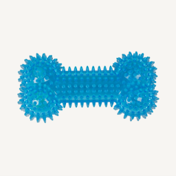 Animal Boulevard - TPR - Spikebeen - L