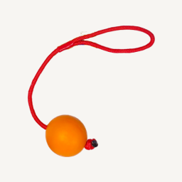 Animal Boulevard - Trektouw met Bal - L