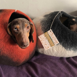 Dharma Dog Karma Cat - Grot Ombre