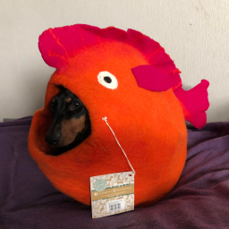 Dharma Dog Karma Cat - Grot Vis