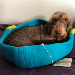 Dharma Dog Karma Cat - Mand Handvaten - M