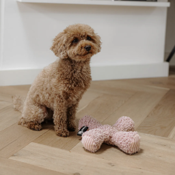 District 70 - Ziggy - 20 cm