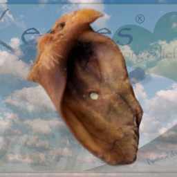 Happy Keetjes - Hollandse Zeugenoren - 5 stuks