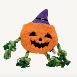 Jack&Vanilla - Halloween - Pompoen