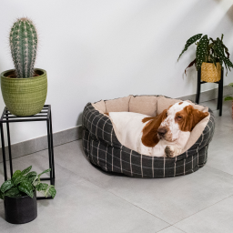 Animal Boulevard - Tartan - Mand - M