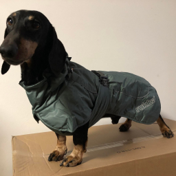 RukkaPets - Stormy Coat - 35 - 40 - 45 cm