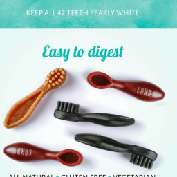 Antos - Cerea - Dental Brush - Small