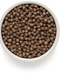 Grandorf - Adult Mini Rassen - Kalkoen/Bruine Rijst - 1 kg