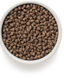 Grandorf - Kat Adult Steriel - Konijn/Kalkoen/Bruine Rijst - 400 gr