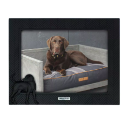 Happy House - Fotokader - Visgraat