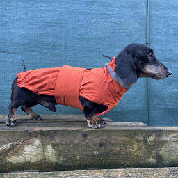 Jack&Vanilla - Teckeljas - S