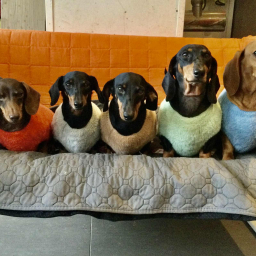 Jack&Vanilla - Trui - XS