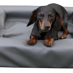 Lounge Dogbed - S