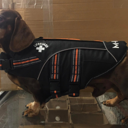 M-Pets - Zwemvest - S