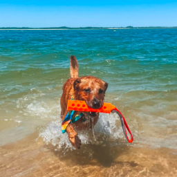 N-Gage - Hydro Bumper