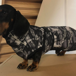 Rukkapets - Breeze Jacket - 35 cm