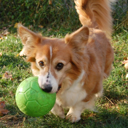 Jolly - Soccer Ball - Small 