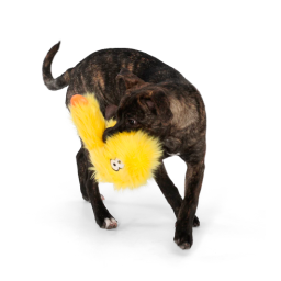 WestPaw Rowdies - Wilson - BUILT FOR ROUGH PLAYING