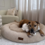 Pet Perfect - Orthopedische Donutmand - M