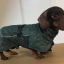 RukkaPets - Stormy Coat - 25 - 30 cm