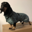 RukkaPets - Stormy Coat - 35 - 40 - 45 cm