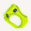 Animal Boulevard - Harnas - Fluo