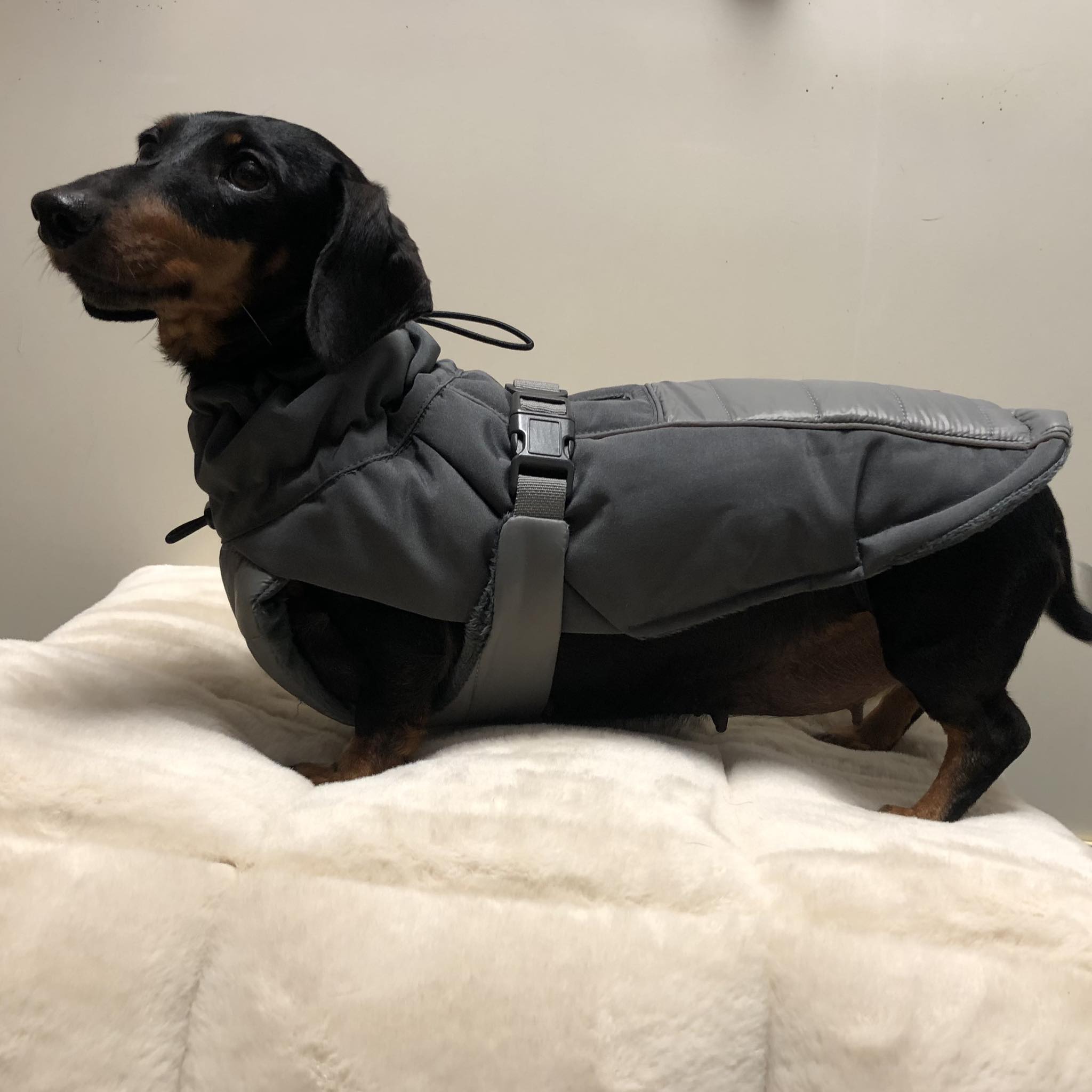 51DN - Paris Coat - 28 cm