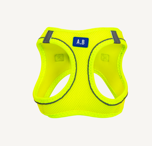 Animal Boulevard - Harnas - Fluo