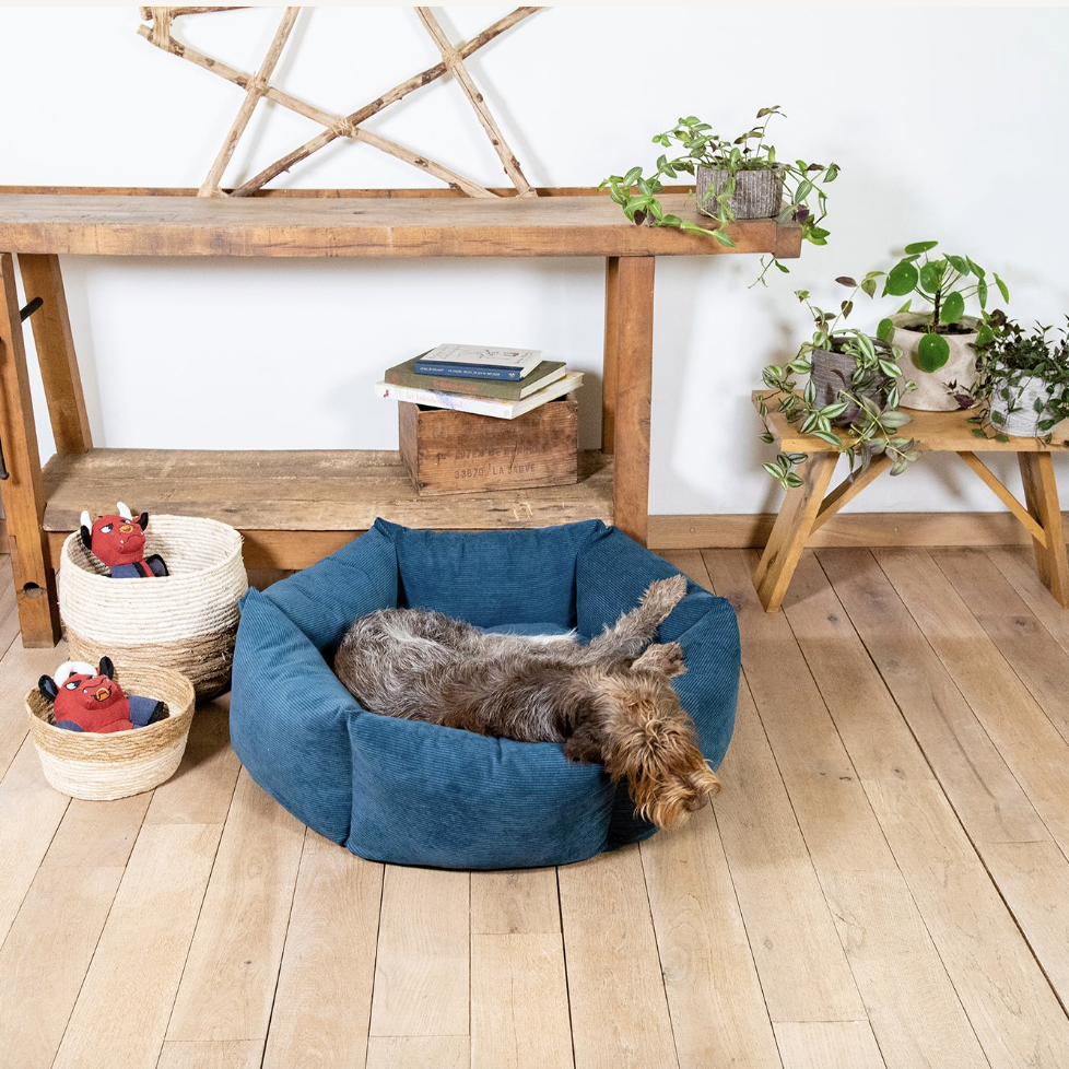 Animal Boulevard - Orthopedisch Hexagon Mand - M