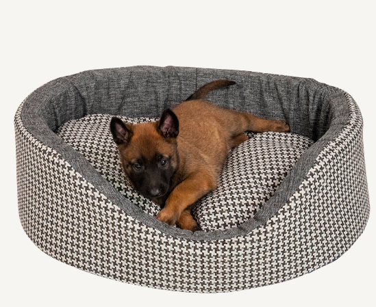 Animal Boulevard - Pied-de-Poule - Ovale mand - S