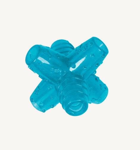 Animal Boulevard - TPR - Ster - S