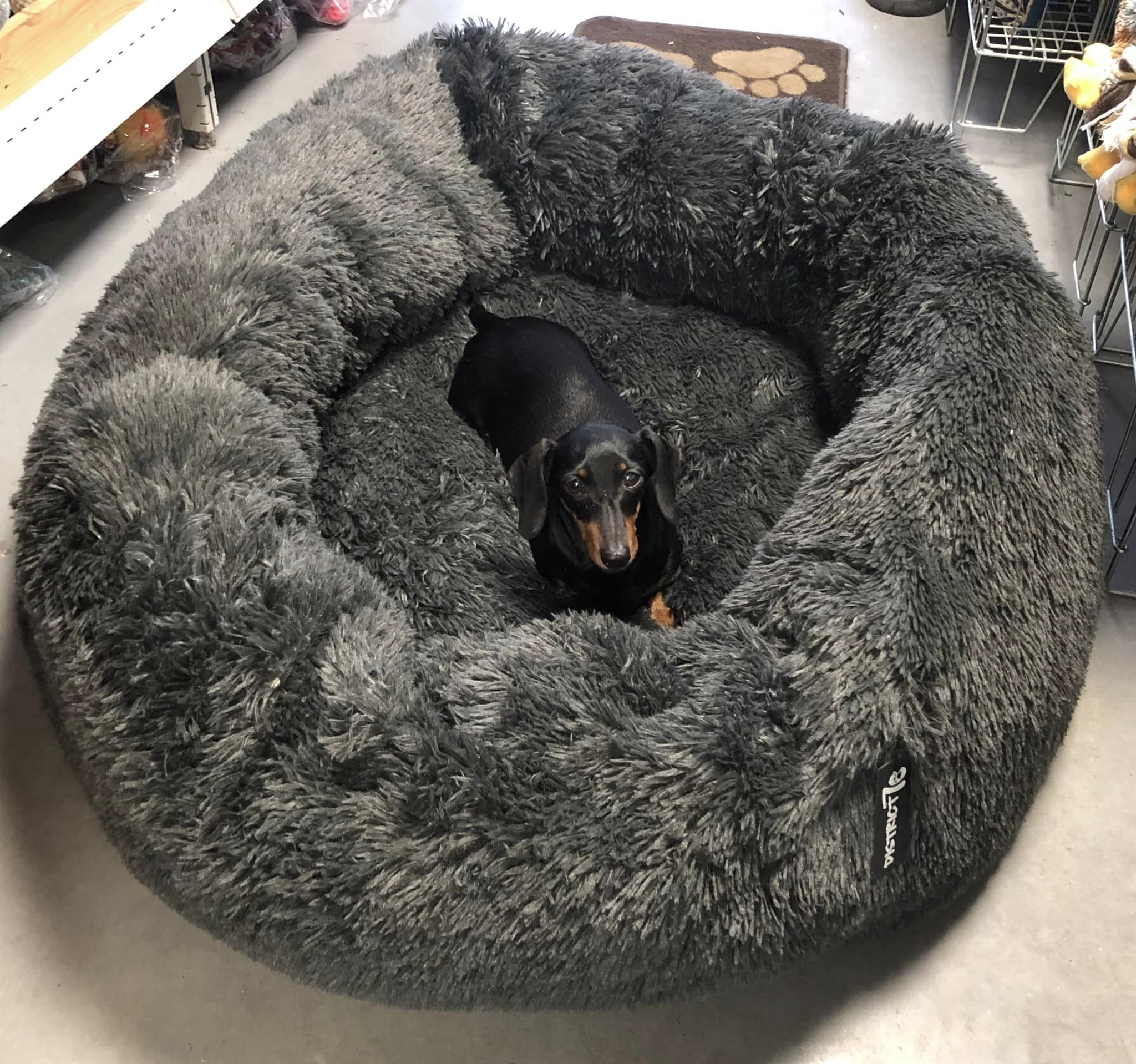 District 70 - Fuzz - XL