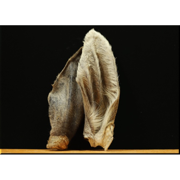 Happy Keetjes - Paardenoren met Vacht - 4 stuks