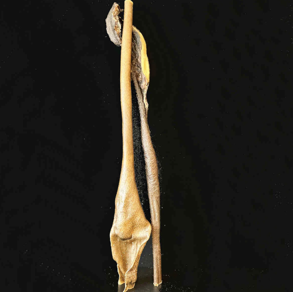 Happy Keetjes - Wild Zwijn Kophuid XL - 500 gr