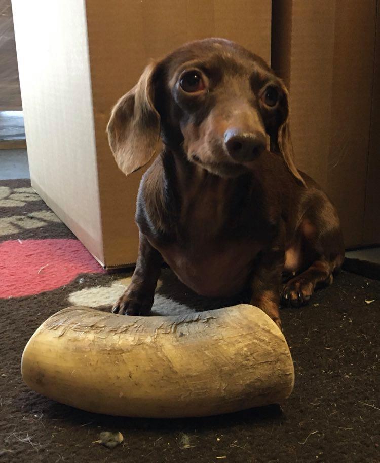 Jack&Vanilla - All Nature -  Vee Hoorn - S